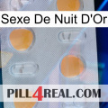 Golden Night Sex 24